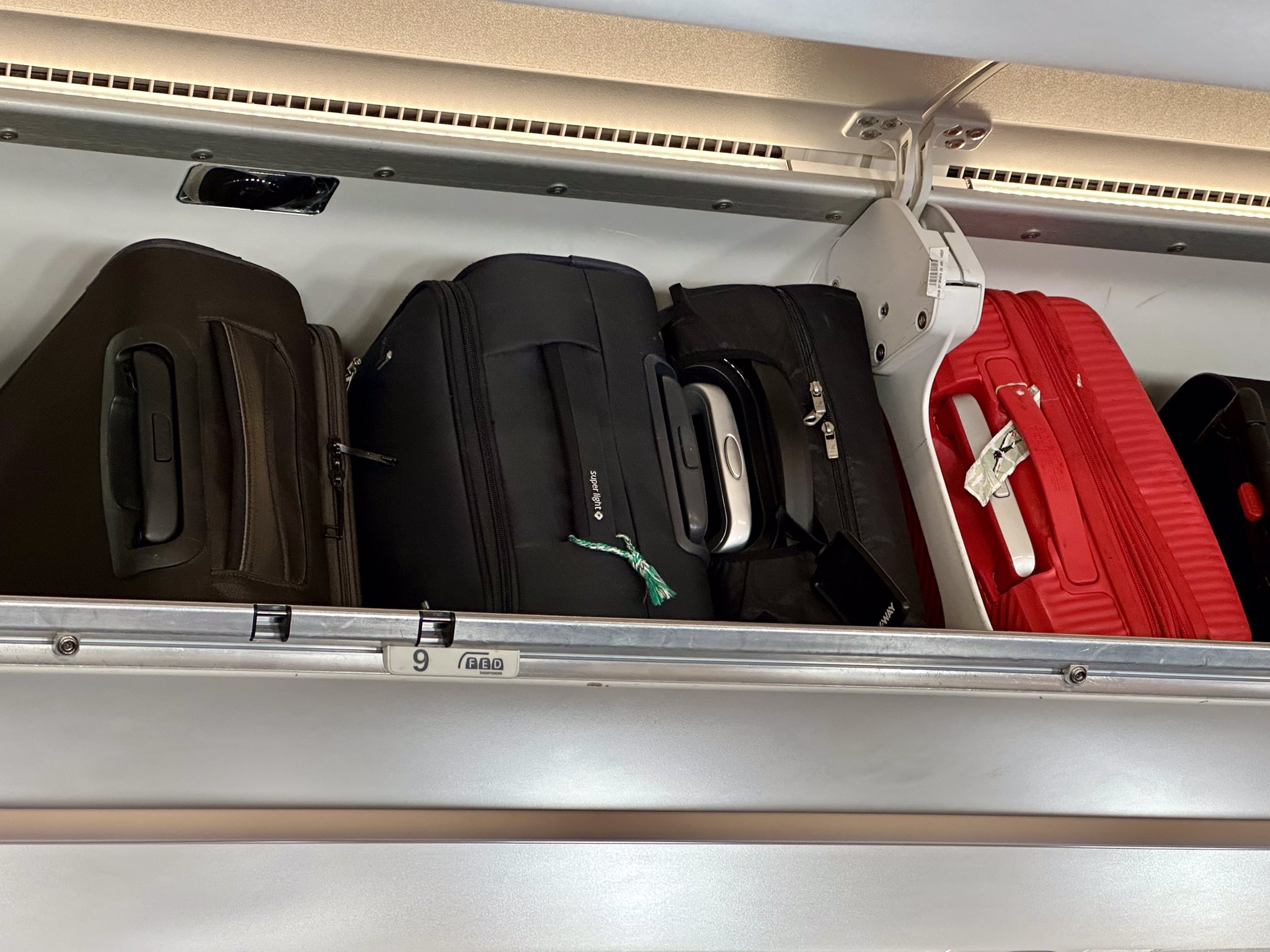 European Parliament Urges Airlines to Offer Free Cabin Luggage Access to All Travellers .